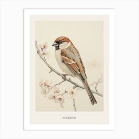 Vintage Bird Drawing Sparrow 1 Poster Art Print