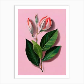 Magnolia 2 Art Print