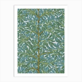 Norway Spruce 2 tree Vintage Botanical Art Print