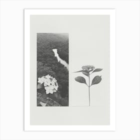 Hydrangea Flower Photo Collage 4 Art Print