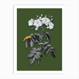 Vintage Musk Rose Black and White Gold Leaf Floral Art on Olive Green n.0036 Art Print