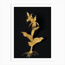 Vintage Lady's Slipper Orchid Botanical in Gold on Black Art Print