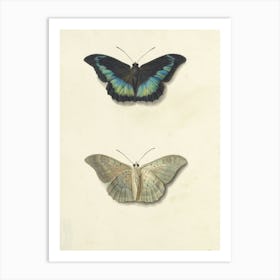 Vintage Two Butterflies Art Print