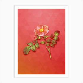 Vintage Japanese Rose Botanical Art on Fiery Red n.1166 Art Print