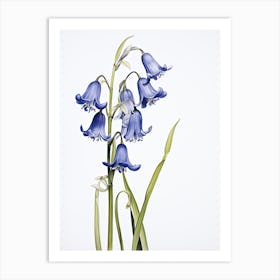 Bluebells Flower Vintage Botanical 2 Art Print