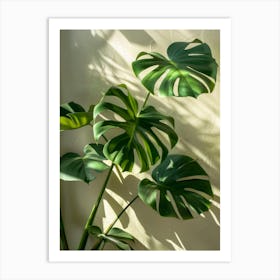 Monstera 2 Art Print