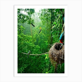 A Nest Cradled On A Rainforest Tree Branch Its Structure Intricately Woven By Passerines Shades Of (1) Art Print