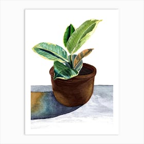 Tropical plant in pot Art Print