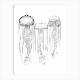 Box Jellyfish Drawing 2 Art Print