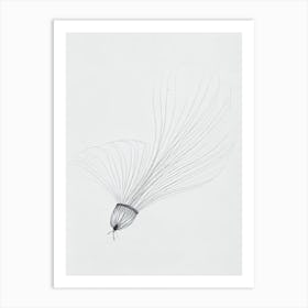 Box Jellyfish Black & White Drawing Art Print