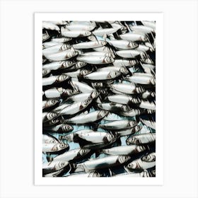 Funny Portrait Sardines Art Print