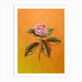 Vintage French Hydrangea Botanical Art on Tangelo n.0441 Art Print
