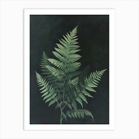 Hares Foot Fern Painting 3 Art Print