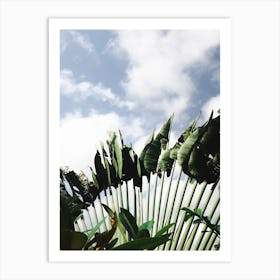 Tropical Green Plants On Blue Sky Art Print