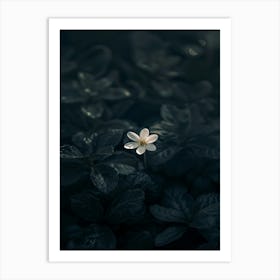 Flower In The Dark 66 Art Print