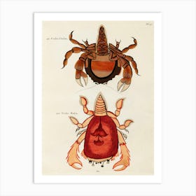 Colourful And Surreal Illustrations Of Crabs Found In Moluccas (Indonesia) And The East Indies, Louis Renard(15) Art Print