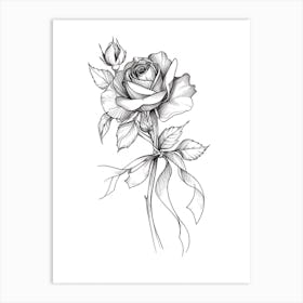 English Rose Black And White Line Drawing 23 Art Print