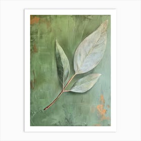 Eucalyptus Leaf 1 Art Print