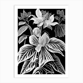 Mayapple Wildflower Linocut Art Print