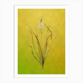 Vintage Wild Asparagus Botanical Art on Empire Yellow n.0653 Art Print