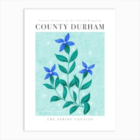 County Flower of County Durham Spring Gentian Art Print