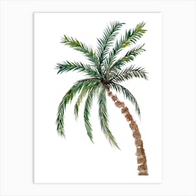 Palm Tree 1 Art Print