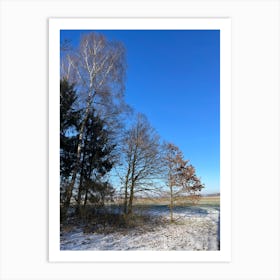 Winter Landscape 13 Art Print