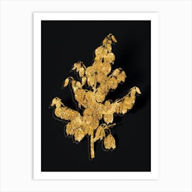 Vintage Aloe Yucca Botanical in Gold on Black Art Print