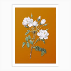 Vintage White Rose Botanical on Sunset Orange n.0962 Art Print