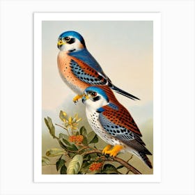 American Kestrel James Audubon Vintage Style Bird Art Print