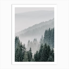 Pine Forest View Art Print