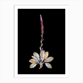 Stained Glass Blazing Star Mosaic Botanical Illustration on Black n.0099 Art Print