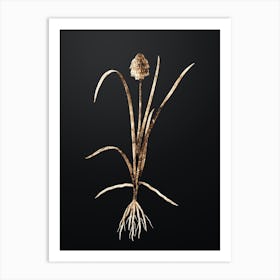 Gold Botanical Veltheimia Abyssinica on Wrought Iron Black n.0993 Art Print