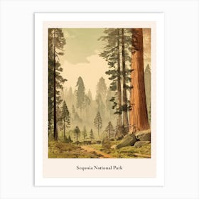 Sequoia National Park Art Print