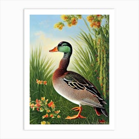 Mallard Duck Haeckel Style Vintage Illustration Bird Art Print