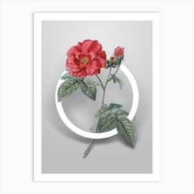 Vintage Apothecary Rose Minimalist Botanical Geometric Circle on Soft Gray Art Print