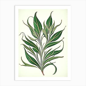 Tarragon Leaf Vintage Botanical 1 Art Print