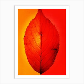 Autumn Leaf Art Print