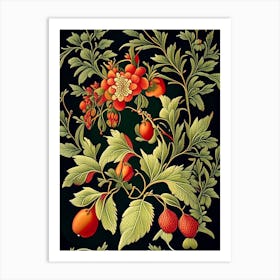 Firethorn 2 Floral Botanical Vintage Poster Flower Art Print