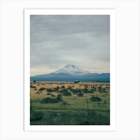 Mount Jefferson Art Print