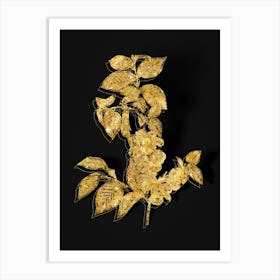 Vintage Field Elm Botanical in Gold on Black n.0197 Art Print