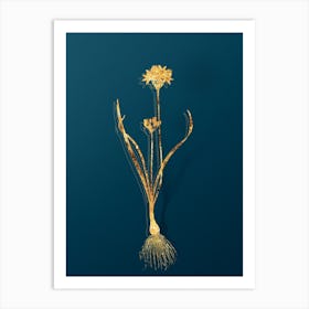 Vintage Three Cornered Leek Botanical in Gold on Teal Blue n.0320 Art Print