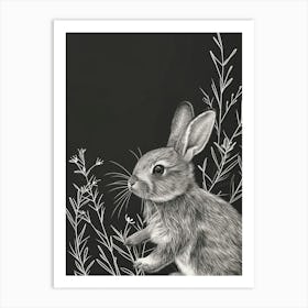 Britannia Petite Rabbit Minimalist Illustration 3 Art Print