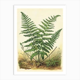 Vintage Illustration Hares Foot Fern 1 Art Print