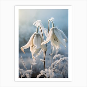 Frosty Botanical Gloriosa Lily 2 Art Print