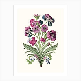 Sweet William 3 Floral Botanical Vintage Poster Flower Art Print