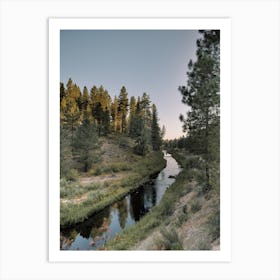 New Mexico Wilderness Art Print