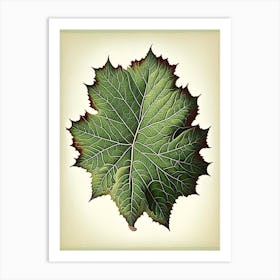 Sycamore Leaf Vintage Botanical 4 Art Print