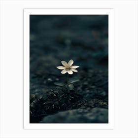 Flower In The Water 6 Art Print