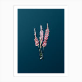 Vintage Polygonum Flower Botanical Art on Teal Blue n.0802 Art Print